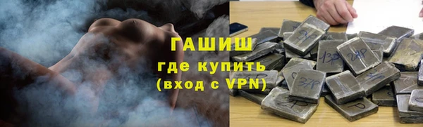 индика Сосновка