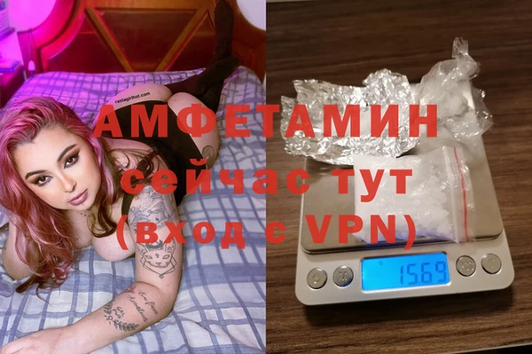 PSILOCYBIN Горняк