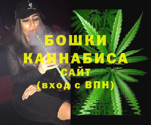 PSILOCYBIN Горняк