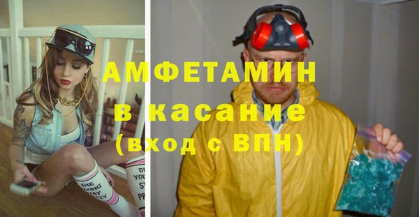 индика Сосновка